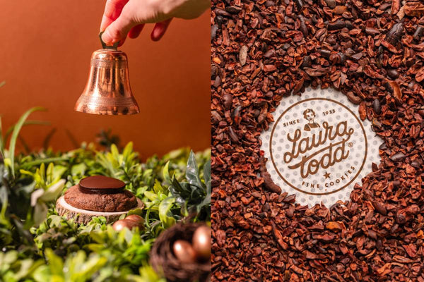 Le Merveilleux Cacao