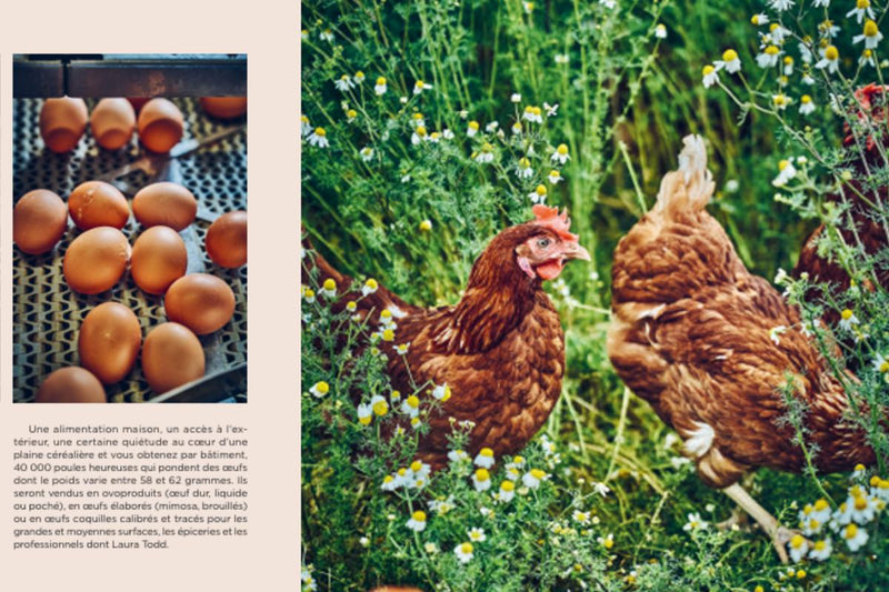 Les fabuleux cookies de Laura Todd